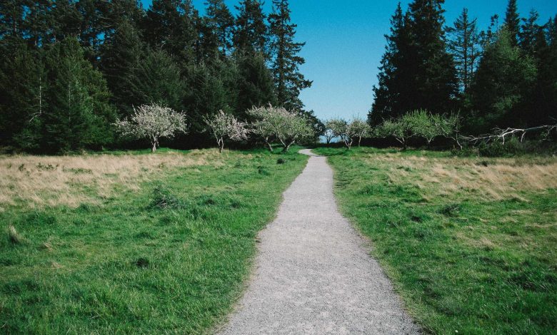 Hibs and Ross County fans on final