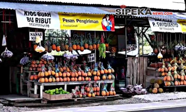 Potensi Buah Nanas Ngancar Kab Kediri Mampu Ekspor di Negara Oman dan Jeddah Arab Saudi