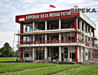 Aksi 100 Orang Digelar, LSM RATU Soroti Perhutani Kediri: “Jangan Halangi Program Presiden!” Aksi 100 Orang Digelar, LSM RATU Soroti Perhutani Kediri: “Jangan Halangi Program Presiden!”